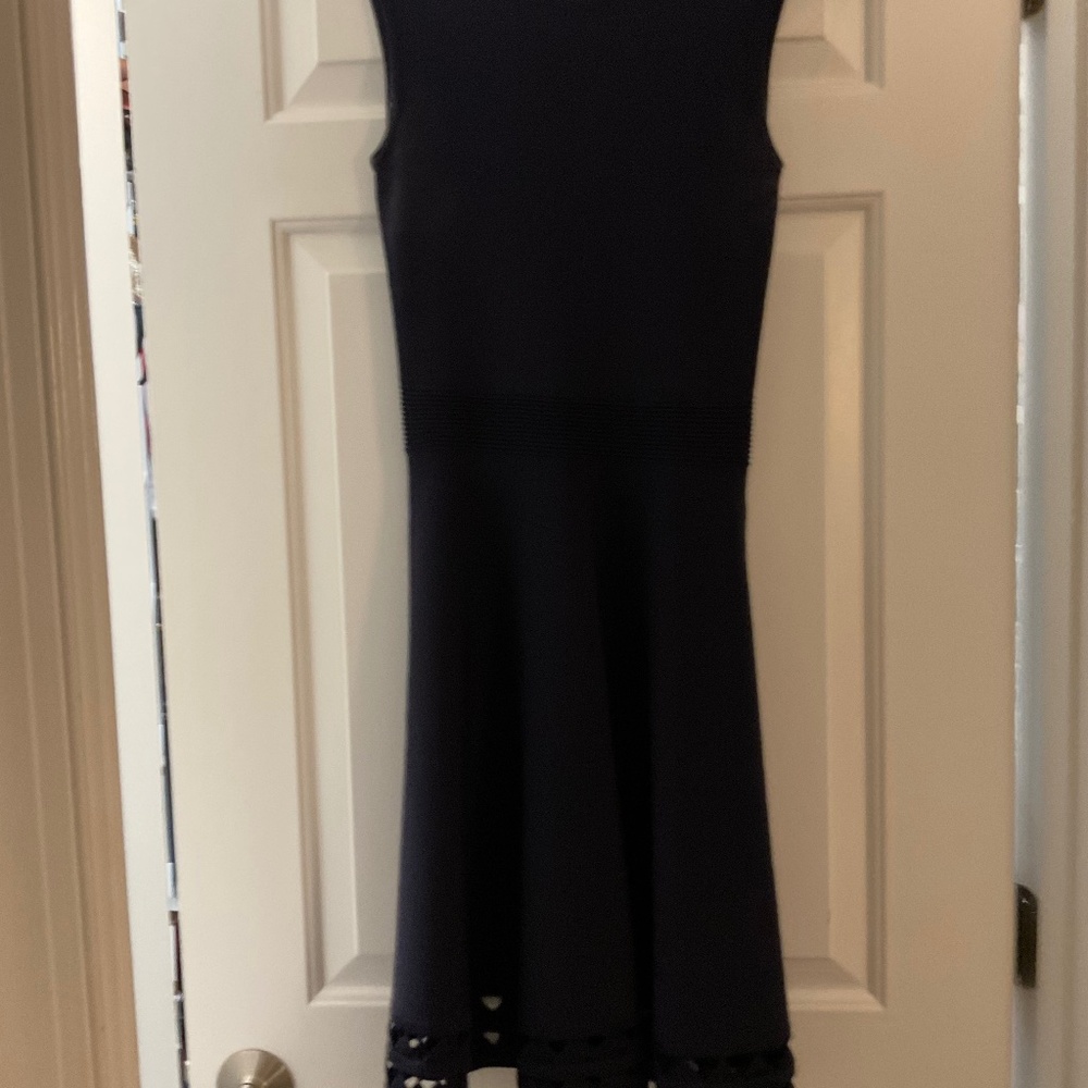 Ted Baker Navy Dress